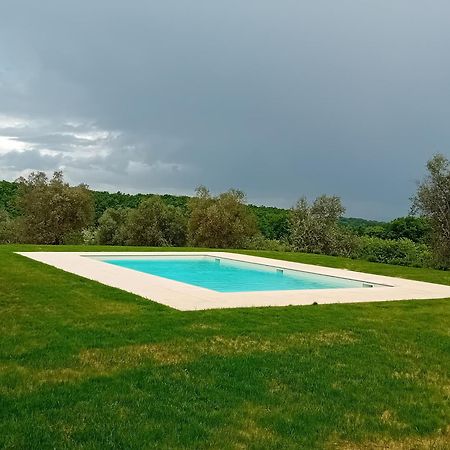 Podere Lucignano Secondo Agriturismo Gaiole in Chianti Kültér fotó