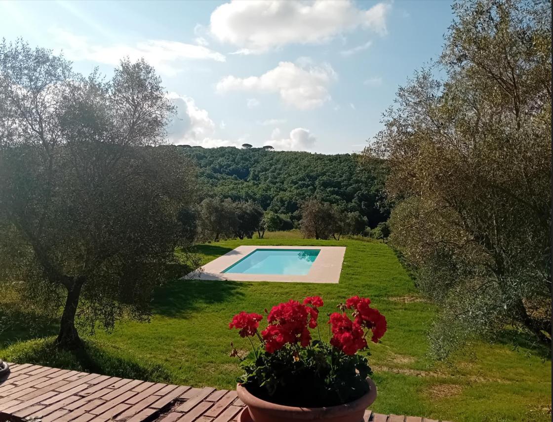 Podere Lucignano Secondo Agriturismo Gaiole in Chianti Kültér fotó